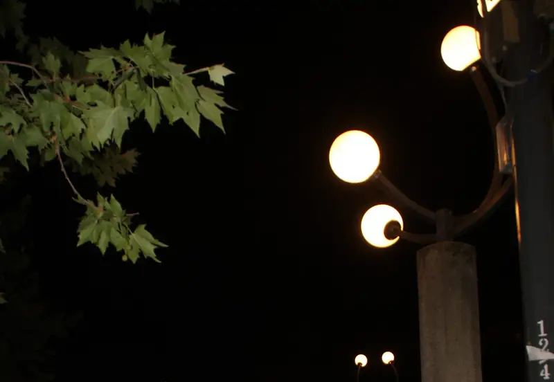 I lampioni di Piazza Sempione accesi tra le foglie